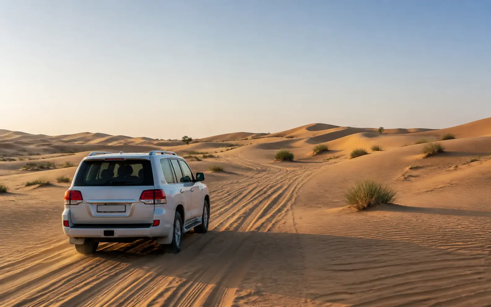 Safari vehicle crossing pale dunes in morning light